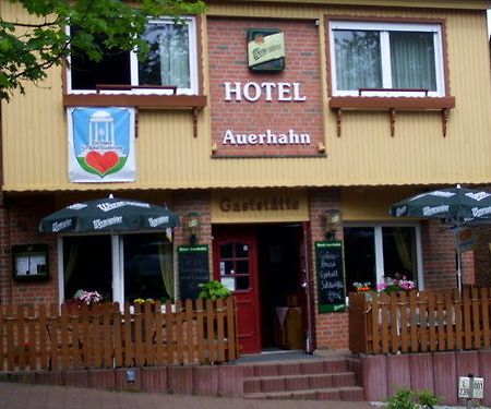 Auerhahn Hotel Bad Suderode Bagian luar foto