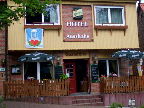 Auerhahn Hotel Bad Suderode Bagian luar foto